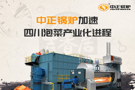 中正環保型低氮鍋爐 四川泡菜產業化的助推劑
